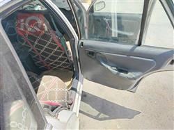دايو برنس